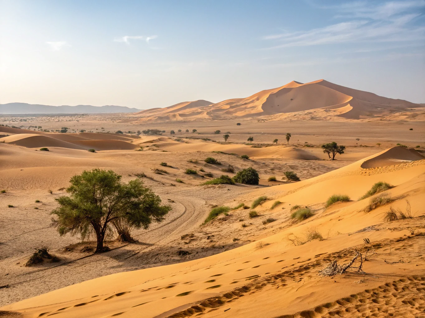 circuit desert sud marocain