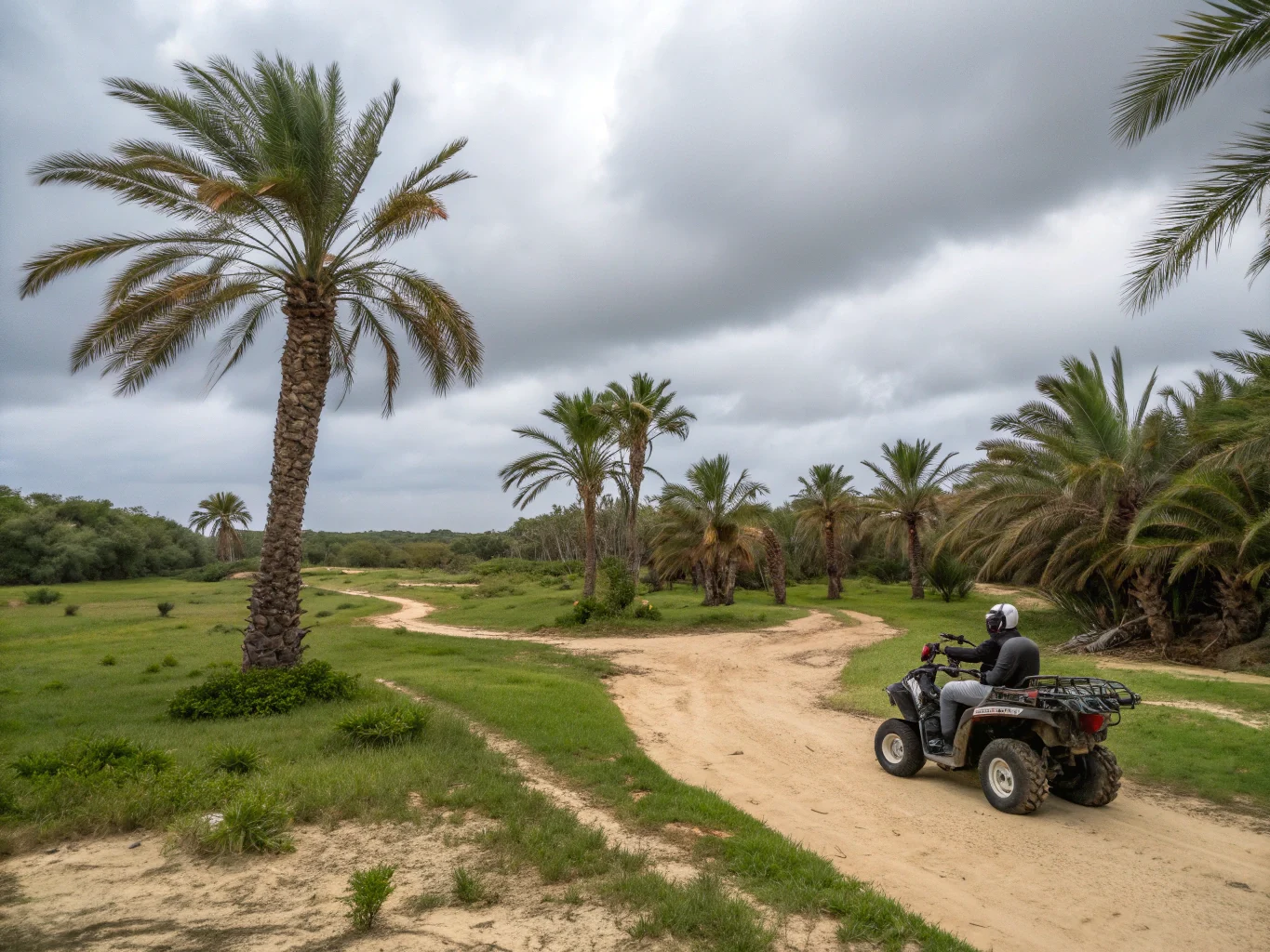 excursion quad a la palmeraie