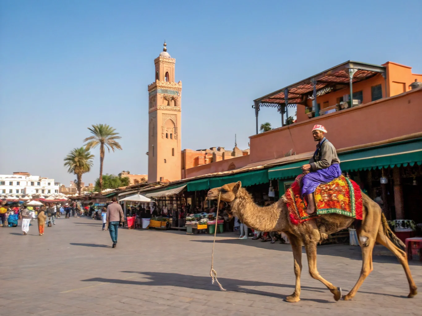excursion chameau a marrakech
